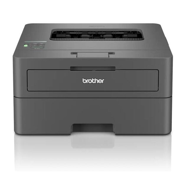 Brother HL-L2400DWE Laserdrucker S/W-image