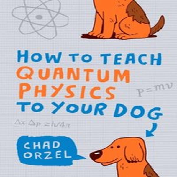 Come Insegnare La Fisica Quantistica Al Vostro Cane-image
