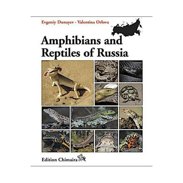 Anfibi E Rettili Della Russia-image