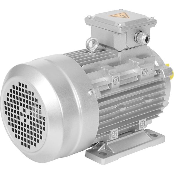 MS100L2-4 - Motore Asincrono Trifase - Potenza 3 Kw - Tensione 230/400 V - Diametro Albero 28 Mm - Velocità 1435 Rpm - Esecuzione B3 - Argento-image