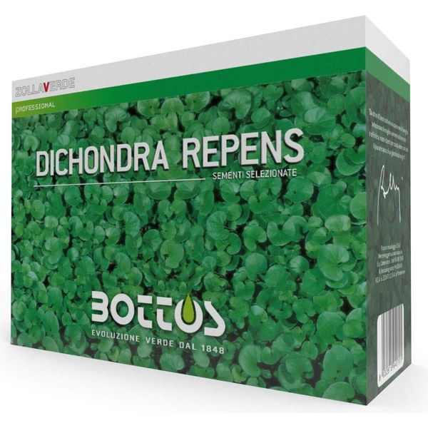 Dichondra Repens - Bottos Seme Professionale Per Prato 1Kg-image