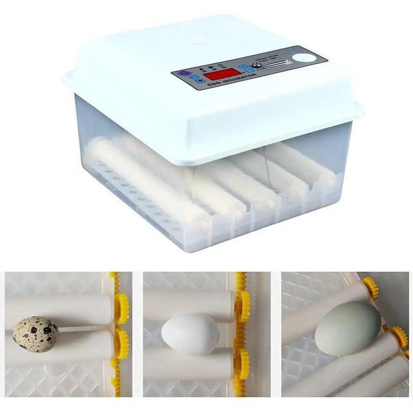 Incubatrice - Incubatrice Completamente Automatica - Capacità 16 Uova - Per Pollo, Anatra, Quaglia - 30 W - Plastica - Bianco-image