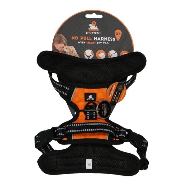 Avvistato! Imbracatura Pro Arancione Xs-image
