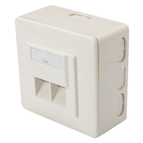 Digitus Scatola Da Parete Cat. 5E, Classe D, 2 X RJ45, Schermato-image