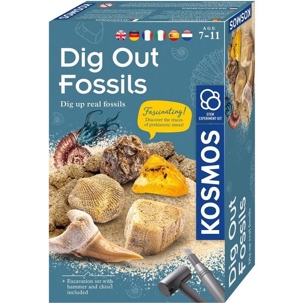 Kosmos 616922 Set Di Scavo Per Fossili, Per Scavare Da Soli Veri Fossili E Ambra, Con Martello E Scalpello, Set Di Esperimenti Per Bambini Dai 7 Anni In Su, Istruzioni Multilingue-image