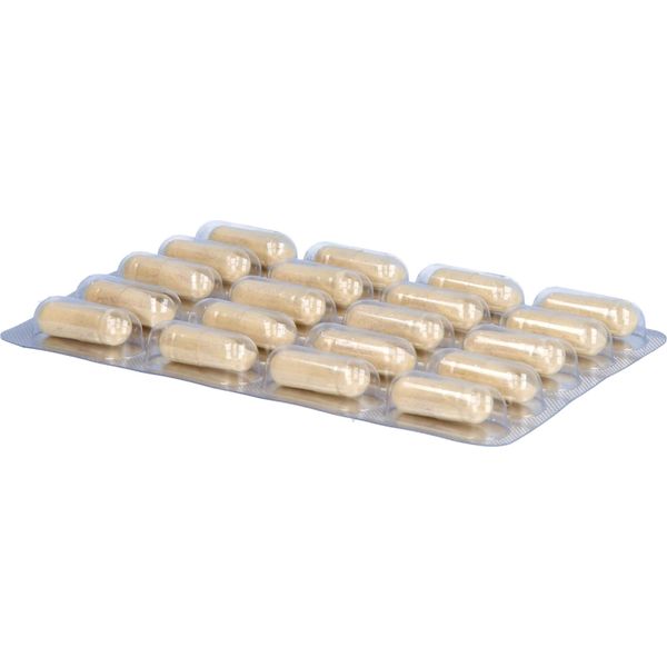 Capsule Di Aminocarin Per Capelli, Pelle E Unghie, 60 Capsule-image