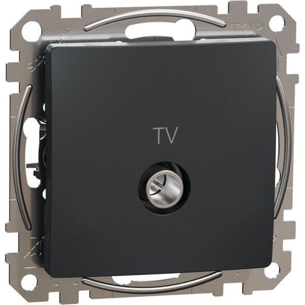Antenna Tv (4Db) Sedna Design SDD114471 Sedna Design Schneider Electric-image