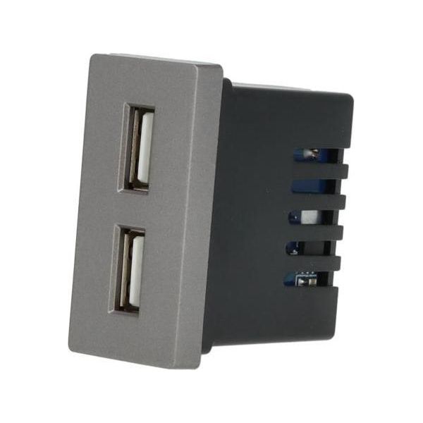 Doppio Modulo Di Ricarica Usb Grigio Dc Smart Home-image