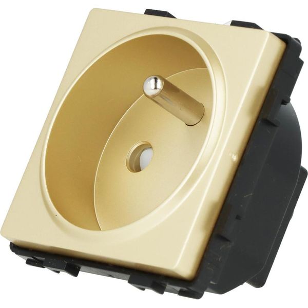 Modulo Presa Di Corrente Con Pin 230V Oro Singolo-image