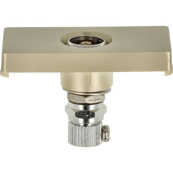 Modulo Presa Antenna Tv Oro Dc Smart Home-image