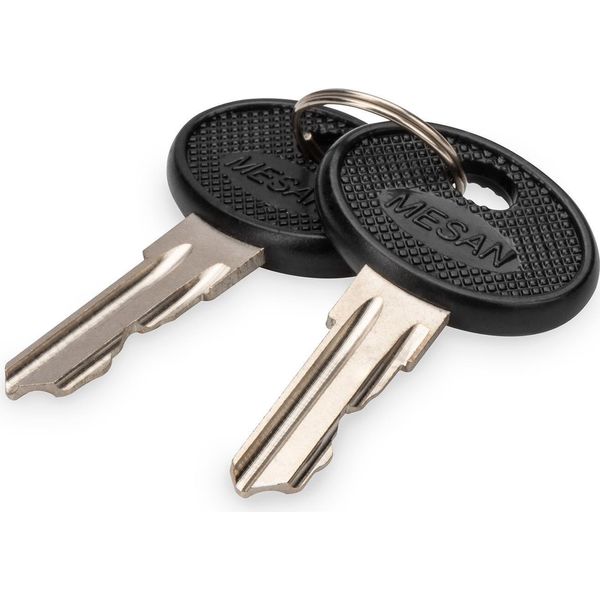 Digitus DN-19-KEY-4444 Digitus ErsatzschlüSsel Varioflex-N, Unique-image