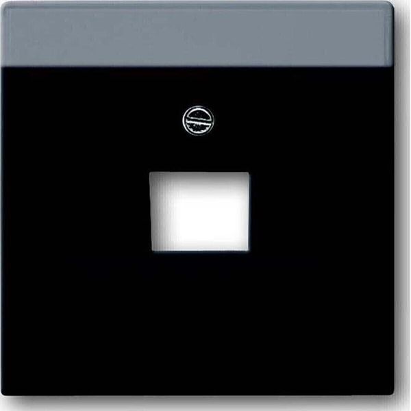 BUSCH-JAEGER Zentralplatte Uae/Iae 1F Futuro Lineare Sw Mt-image