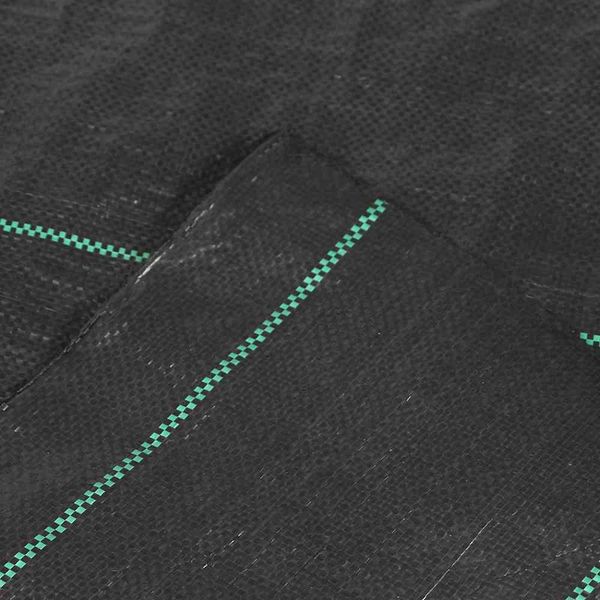 Siena Garden B76058 Tessuto Di Sottofondo 2X10M 100G, Nero, Nero (1 Pezzo)-image