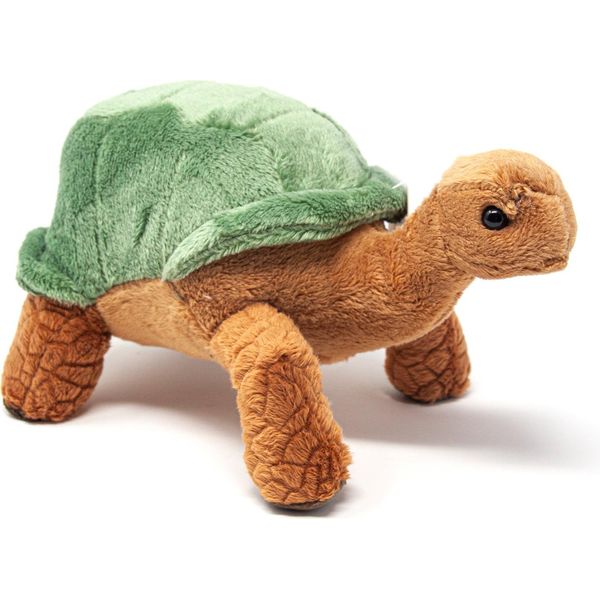 Cornelissen - Peluche - Tartaruga Verde - 20 Cm-image