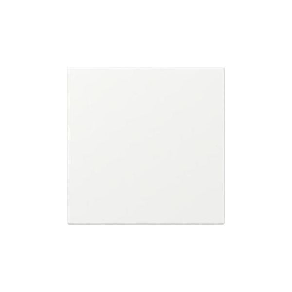 Dritta Del Bilanciere Bianco Puro Opaco - Piastra Di Copertura Bianco Crema 349627-image