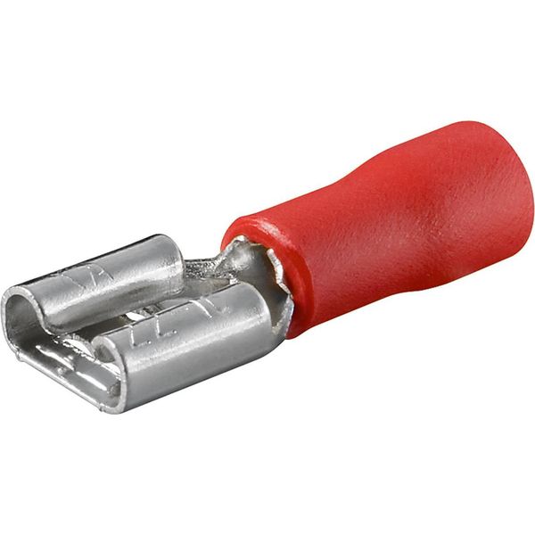 Goobay Ricettacolo Per Lama Rosso 6,4 Mm X 0,8 Mm 0,5 Mm 1 Mm (100 Pezzi)-image