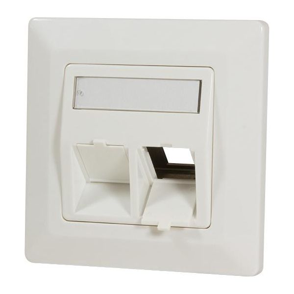 Logilink Keystone Scatola Da Incasso Per 2 Moduli Keystone 45° Bianco Puro (1 Confezione Morbida)-image