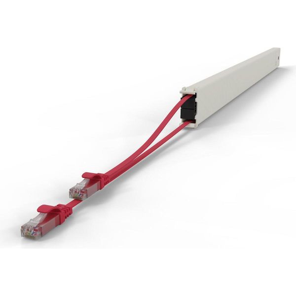 Patchbox Cassette 46RU Utp Red - Kabel - Netzwerk (CONE46UTPRD)-image