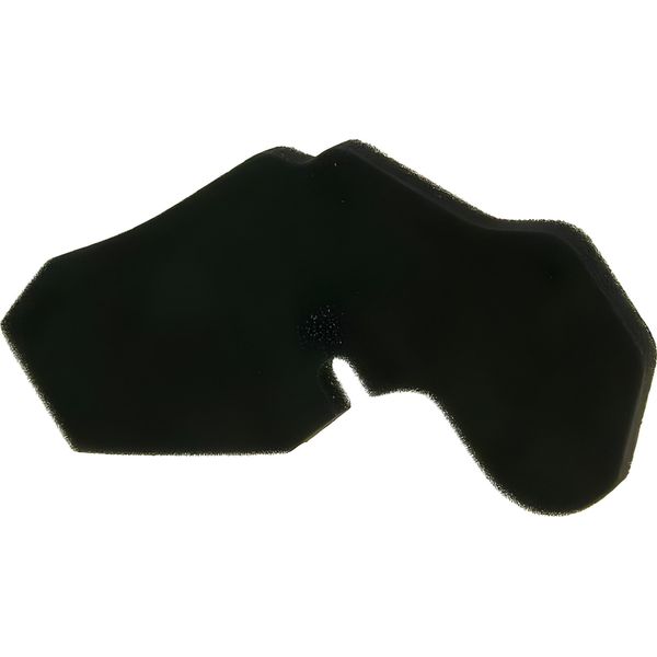 Inserto Filtro Aria Per Honda Wallaroo-image