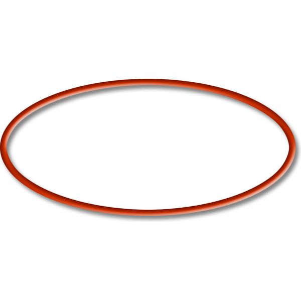 Ricambio Sunsun Per Il Chiarificatore Per Laghetti CUV-155 - O-Ring - Per Filtri Per Laghetti, Lampade Uv, Accessori Per Chiarificatori Uvc-image