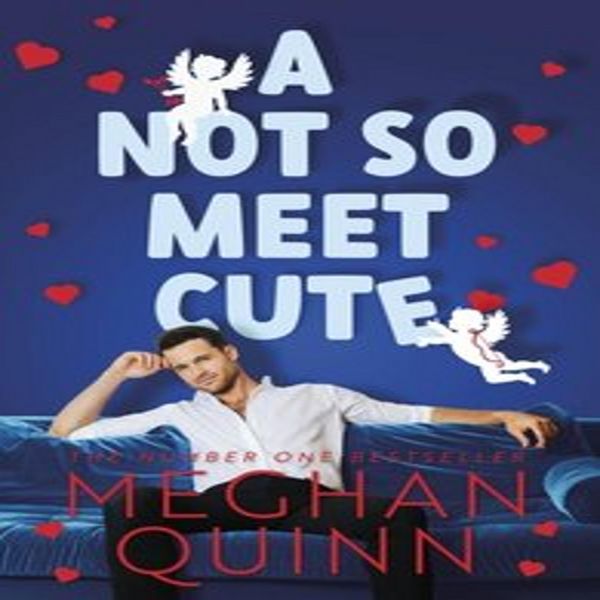 Un Incontro Non Così Carino (Quinn Meghan)-image