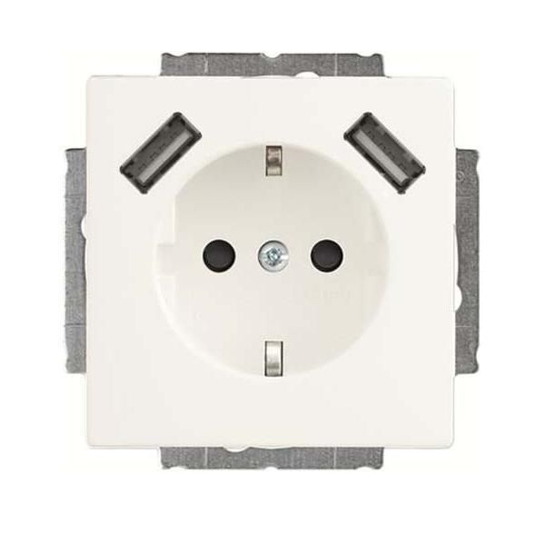 Busch-Jaeger Schuko-2X Usb Steckdose 20 EUCB2USB-884 (2CKA002011A6277)-image