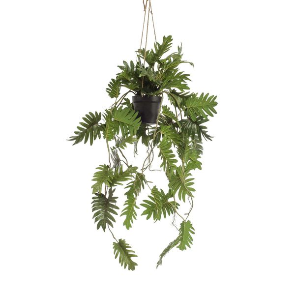 Pianta Artificiale - Filodendro - 80 Cm-image