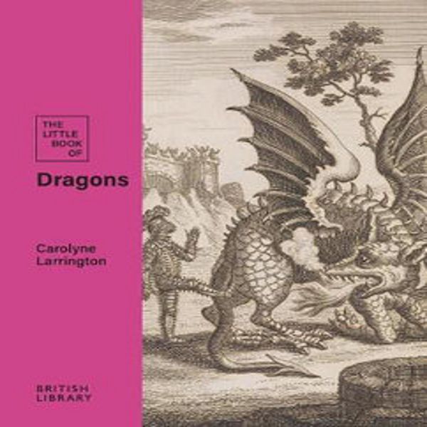 Il Piccolo Libro Dei Draghi-image