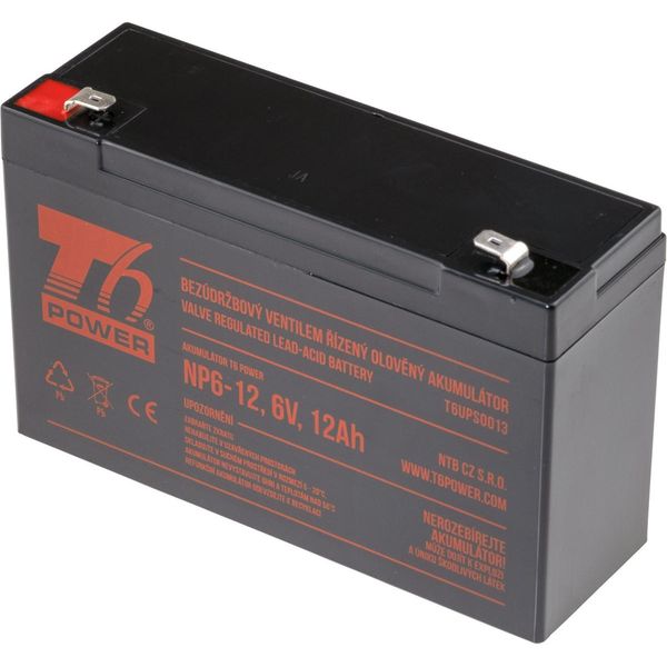 Batteria T6 Power NP6-12, 6V, 12Ah-image