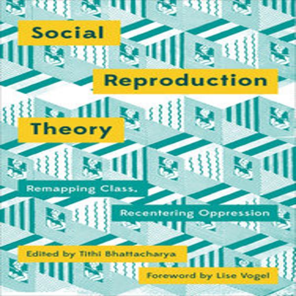 Teoria Della Riproduzione Sociale-image