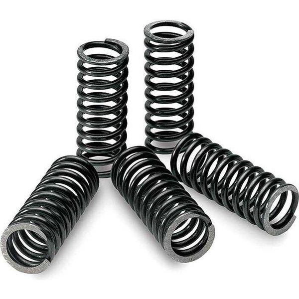 Tecnium Spr0136 Set Di Molle Per Frizione Kawasaki Argento Argento Taglia Unica-image