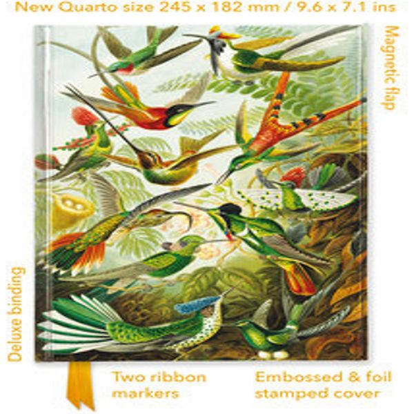 Ernst Haeckel: Colibrì (Rivista In Quarto Smerigliato)-image