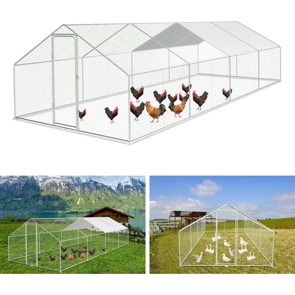 Recinto Per Polli Ruspanti 3X8X2M - Pollaio In Metallo 24 M² Con Porta E Serratura-image