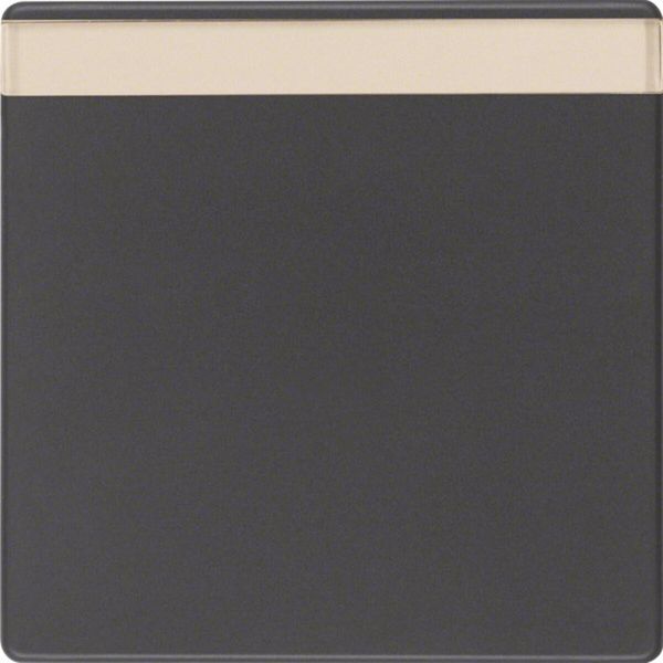 Berker 16266086 Rocker Con Campo Di Etichettatura Antracite Con Berker Q.1/Q.3-image