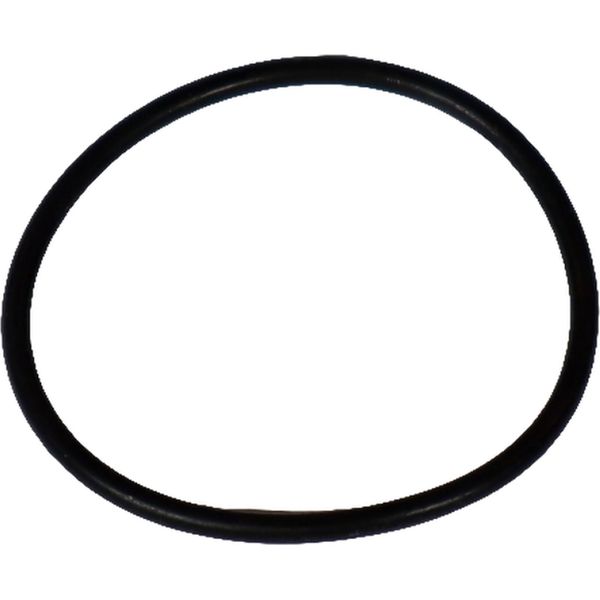 Guarnizione Piaggio O-Ring, 289386-image