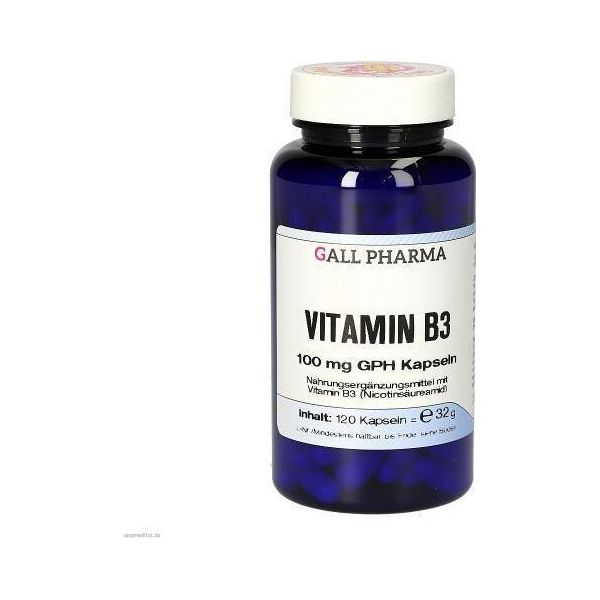 Vitamina B3 100 Mg Gph Capsule 120 Capsule-image
