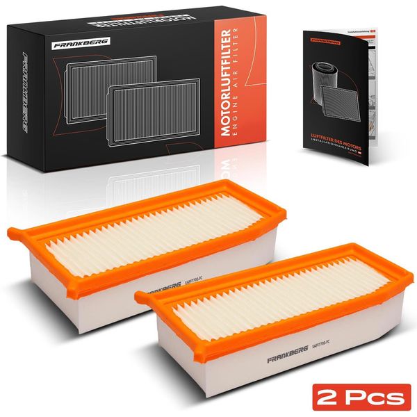 Frankberg 2X Filtro Aria Filtro Aria Motore Per Renault Clio Dacia Logan Duster Nissan Terrano-image