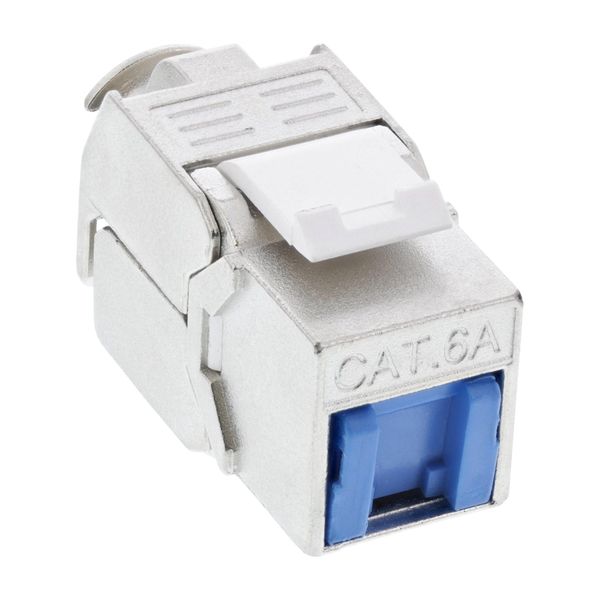 Inline® 76202T Presa RJ45 Keystone Inline® / Inserto Lsa, Snap-In, Cat.6A, Con Protezione Dalla Polvere, Blu-image