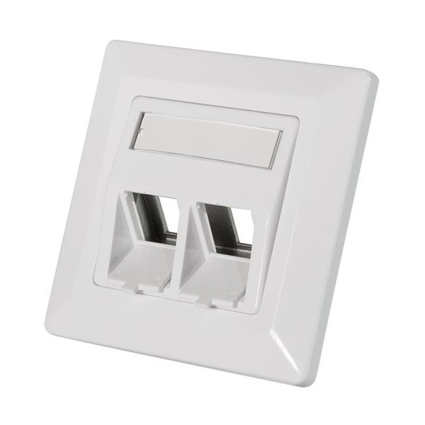 Logilink Keystone Scatola Da Incasso Per 2 Moduli Keystone A 45° Segnale Bianco (1 Confezione Morbida)-image