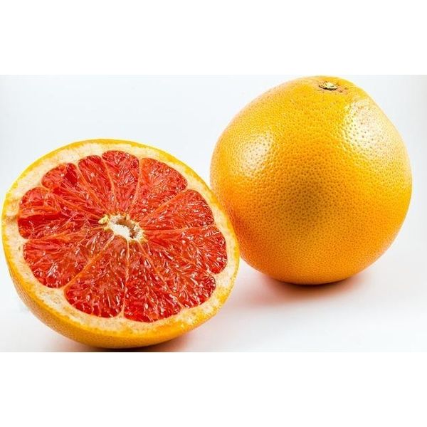 Albero Di Pompelmo Citrus Paradisi 70-100 Cm - Pianta Di Agrumi In Vaso, Pompelmo Da Fiore Per Patio, Balcone E Giardino D'inverno-image