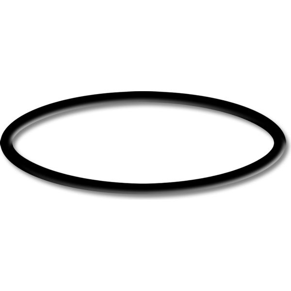 Ricambio Sunsun Per Pompa Per Laghetto CUF-2500 5000 6000 - O-Ring - Per Filtro Per Laghetto, Lampade Uv, Accessori Per Chiarificatore Uvc-image