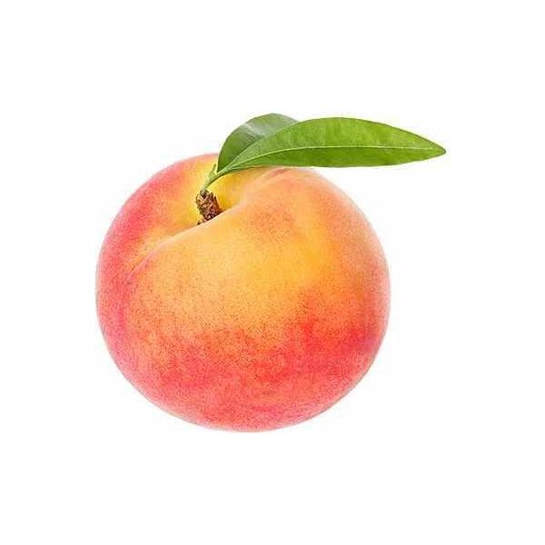 Pesco 100-125Cm Prunus Persica Pesco Nano Resistente Albero Da Frutta Pianta Da Giardino Autofruttuosa Balcone Terrazza-image