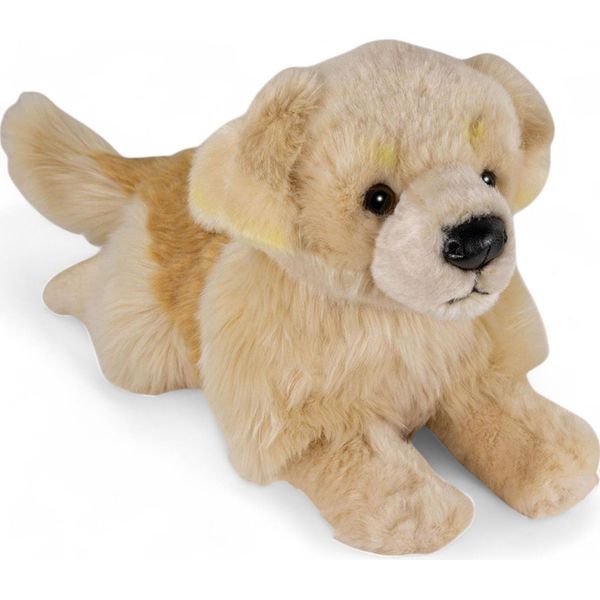 Carl Dick Golden Retriever, Cane, Ca. 30Cm 1269004 Peluche, Peluche, Peluche-image