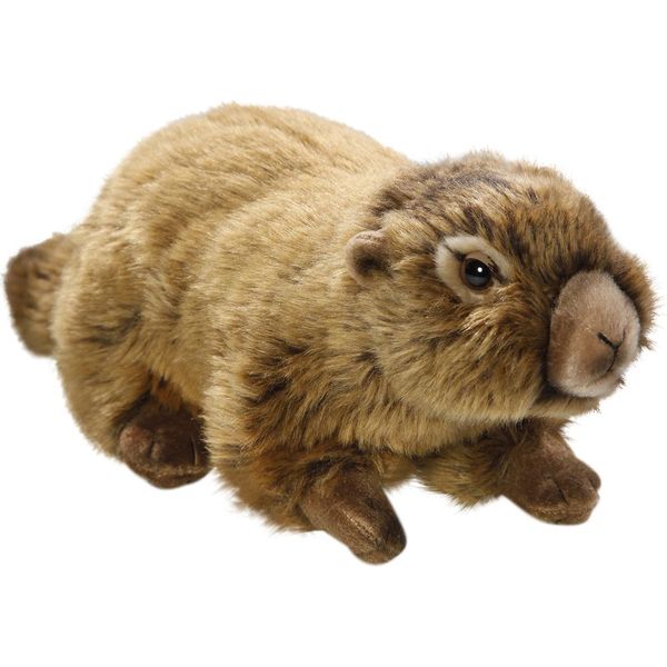 Carl Dick Marmotta Sdraiato Di Circa 25 Cm 2616 Peluche, Peluche, Peluche-image
