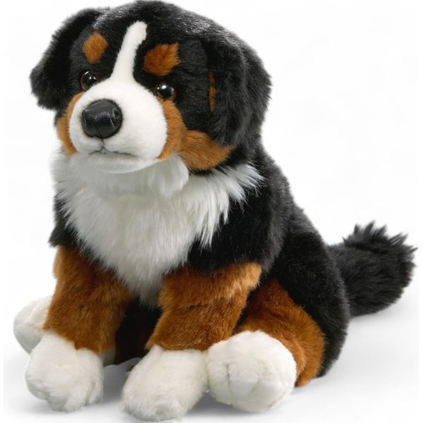 Carl Dick Cane Da Montagna Bernese Seduto, Cane, Circa 30Cm 1885001 Peluche, Peluche, Peluche-image