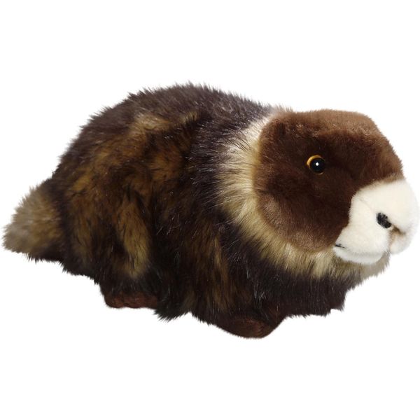 Carl Dick Marmotta Sdraiato Di Circa 23 Cm 3535 Peluche, Peluche, Peluche-image