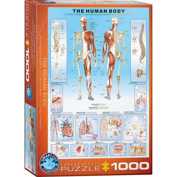 Puzzle Da 1000 Pezzi - Puzzle - Il Corpo Umano + Set Deluxe Di 3 Accessori Per Puzzle-image