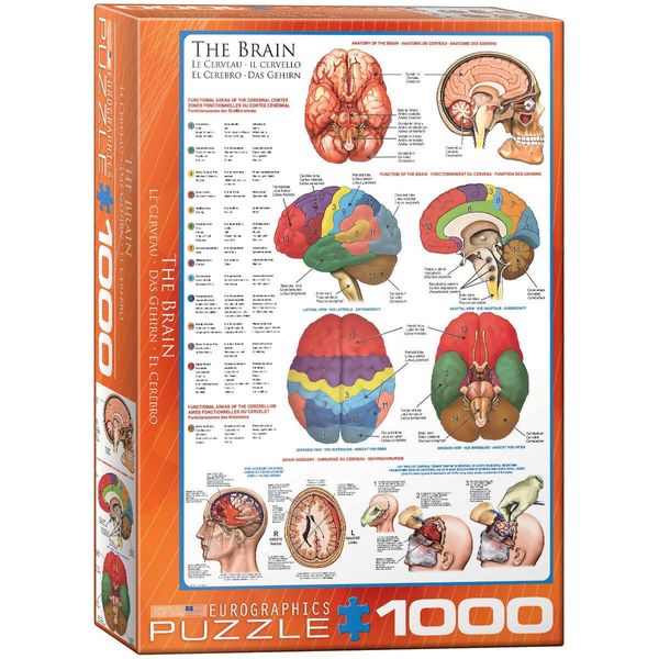 Puzzle Da 1000 Pezzi - Puzzle - Anatomia E Chirurgia Delle Funzioni Cerebrali + Accessori Per Puzzle-image