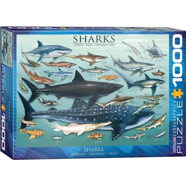 Puzzle Da 1000 Pezzi - Puzzle - Squali Degli Oceani + Set Di 3 Accessori Per Puzzle-image