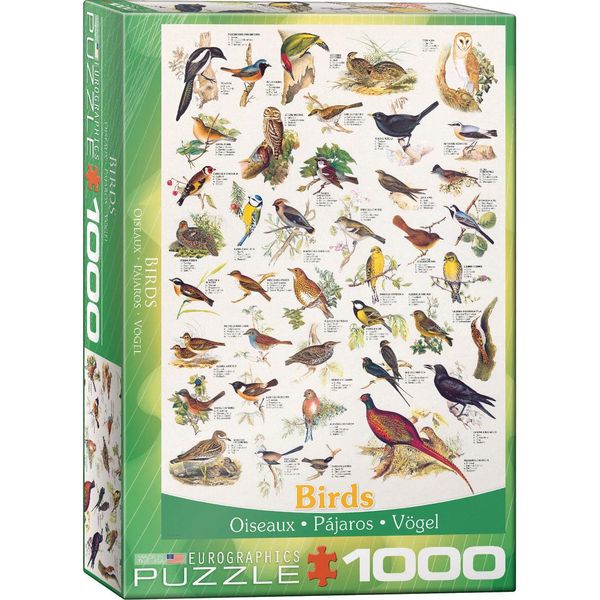 Puzzle Da 1000 Pezzi - Puzzle - Il Mondo Degli Uccelli + Puzzle Cornice In Alluminio Per 1000 Pezzi-image